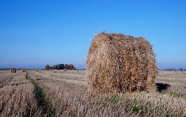 Image showing Straw bales 