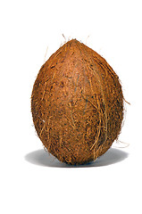 Image showing Coconut on a white background.