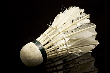 Image showing Shuttlecock