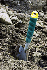 Image showing Trowel