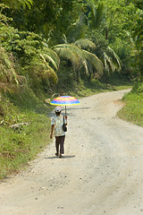 Image showing Rainbow Umbrella