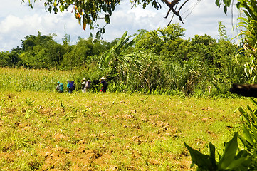 Image showing Hikers