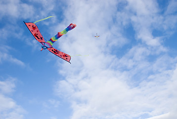 Image showing Kite