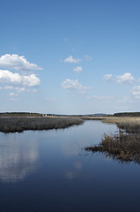 Image showing Lake landscape
