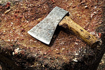 Image showing Axe on chopping board