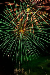 Image showing Fireworks in the night sky 