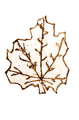 Image showing Christmas decorative golden leaf