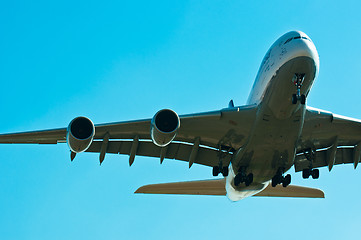 Image showing A big airbus starting to land