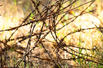 Image showing Barbed wires on apocalyptic background