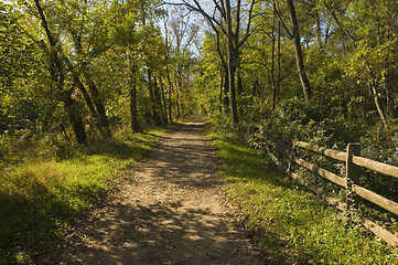 Image showing Straight Trail or Dirt Road through Woods