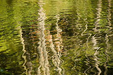 Image showing Abstract rippled reflection of trees in lake water
