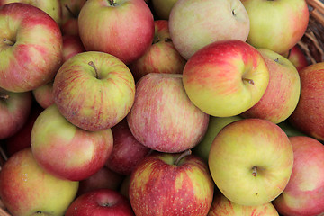 Image showing Apples