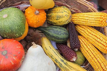 Image showing Autumn Harvest