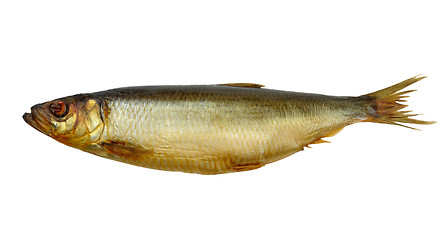 Image showing smoked herring