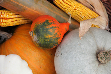 Image showing Autumn Harvest