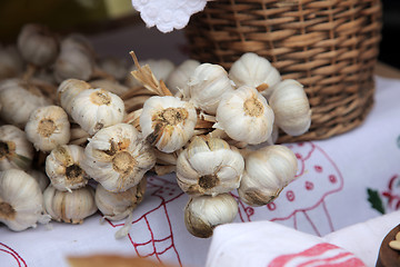 Image showing Bunch of garlic