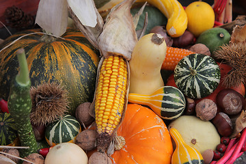 Image showing Autumn Harvest