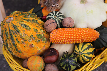 Image showing Autumn Harvest