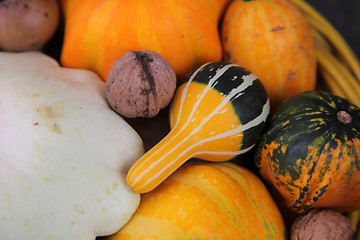 Image showing Autumn Harvest