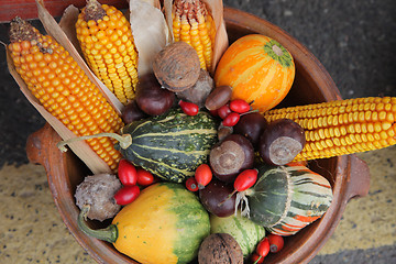 Image showing Autumn Harvest