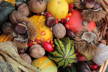 Image showing Autumn Harvest