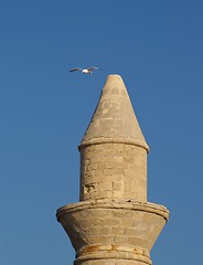 Image showing seagull over a minaret