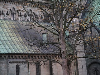 Image showing Tree in front of Nidaros cathedral