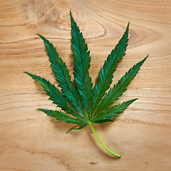 Image showing marijuana leaf