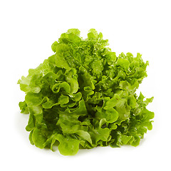 Image showing green lettuce