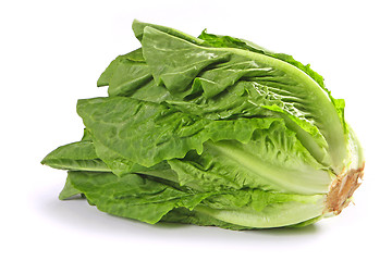 Image showing green lettuce