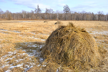 Image showing Haystack