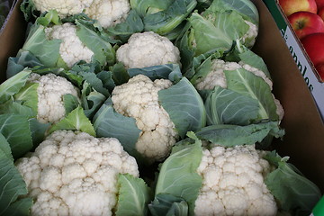 Image showing Cauliflowers