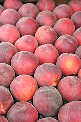 Image showing Peaches