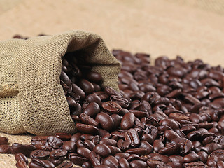 Image showing coffee beans