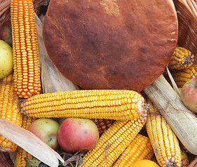 Image showing Autumn Harvest