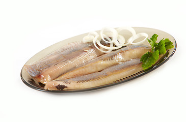 Image showing herring