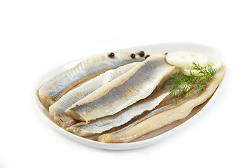 Image showing herring