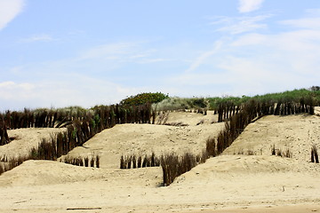 Image showing Dunes