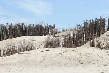 Image showing Dunes