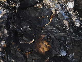 Image showing Burnt Paper