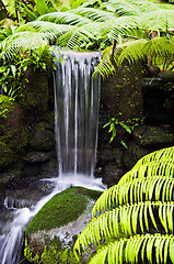 Image showing Waterfall