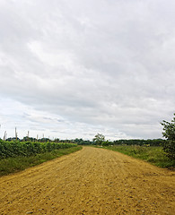 Image showing Dusty Road