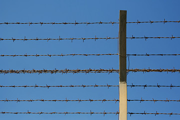 Image showing barbed wires