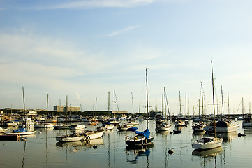 Image showing Sailboats