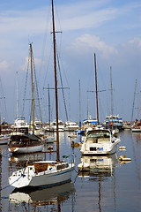 Image showing Sailboats