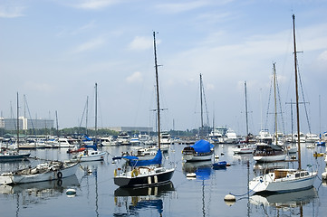 Image showing Sailboats