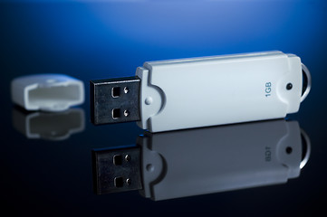 Image showing USB Flash Drive