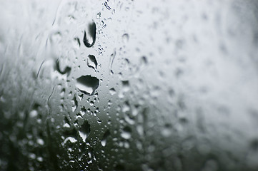Image showing Rain Drops