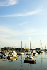 Image showing Sailboats