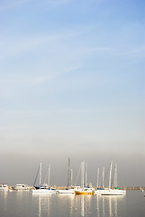 Image showing Sailboats